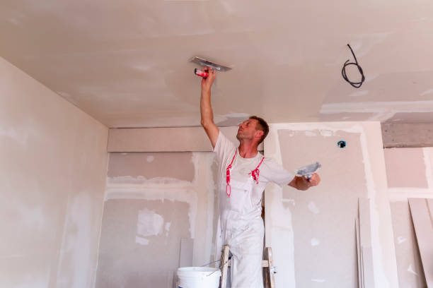 Wallpaper Removal and Painting in Pine Grove, CA