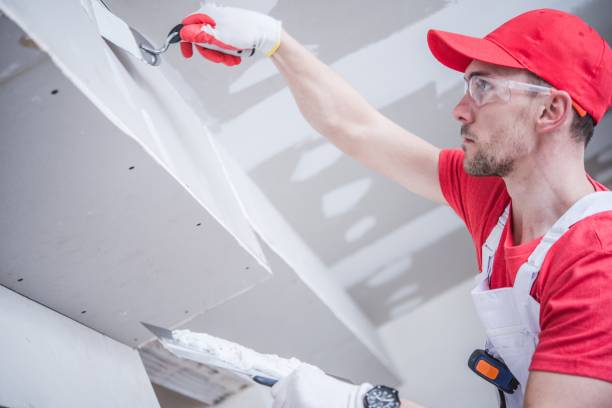 Best Ceiling Drywall Installation  in Pine Grove, CA